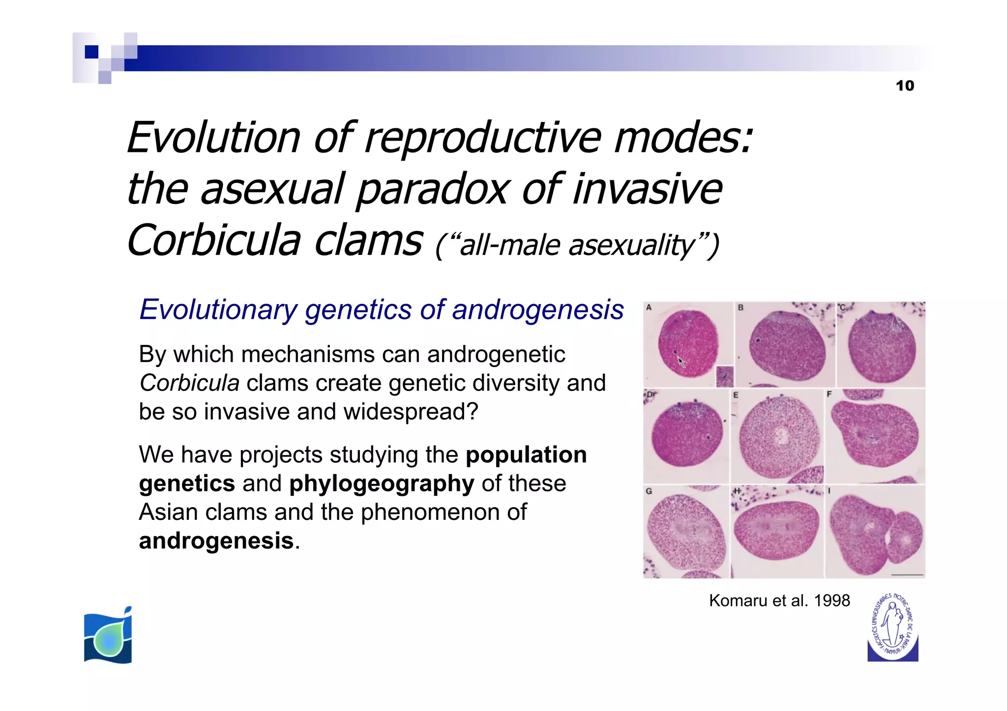 10



Evolution of reproductive modes:
the asexual paradox of invasive
Corbicula clams ( all-male asexuality )
Evolutionary genetics of androgenesis
By which mechanisms can androgenetic
Corbicula clams create genetic diversity and
be so invasive and widespread?
We have projects studying the population
genetics and phylogeography of these
Asian clams and the phenomenon of
androgenesis.

                                               Komaru et al. 1998
 