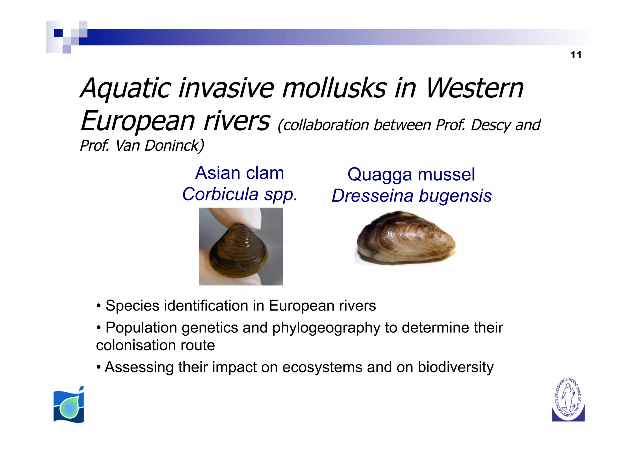 11



Aquatic invasive mollusks in Western
European rivers (collaboration between Prof. Descy and
Prof. Van Doninck)
               Asian clam             Quagga mussel
              Corbicula spp.        Dresseina bugensis




  •  Species identification in European rivers
  •  Population genetics and phylogeography to determine their
  colonisation route
  •  Assessing their impact on ecosystems and on biodiversity
 