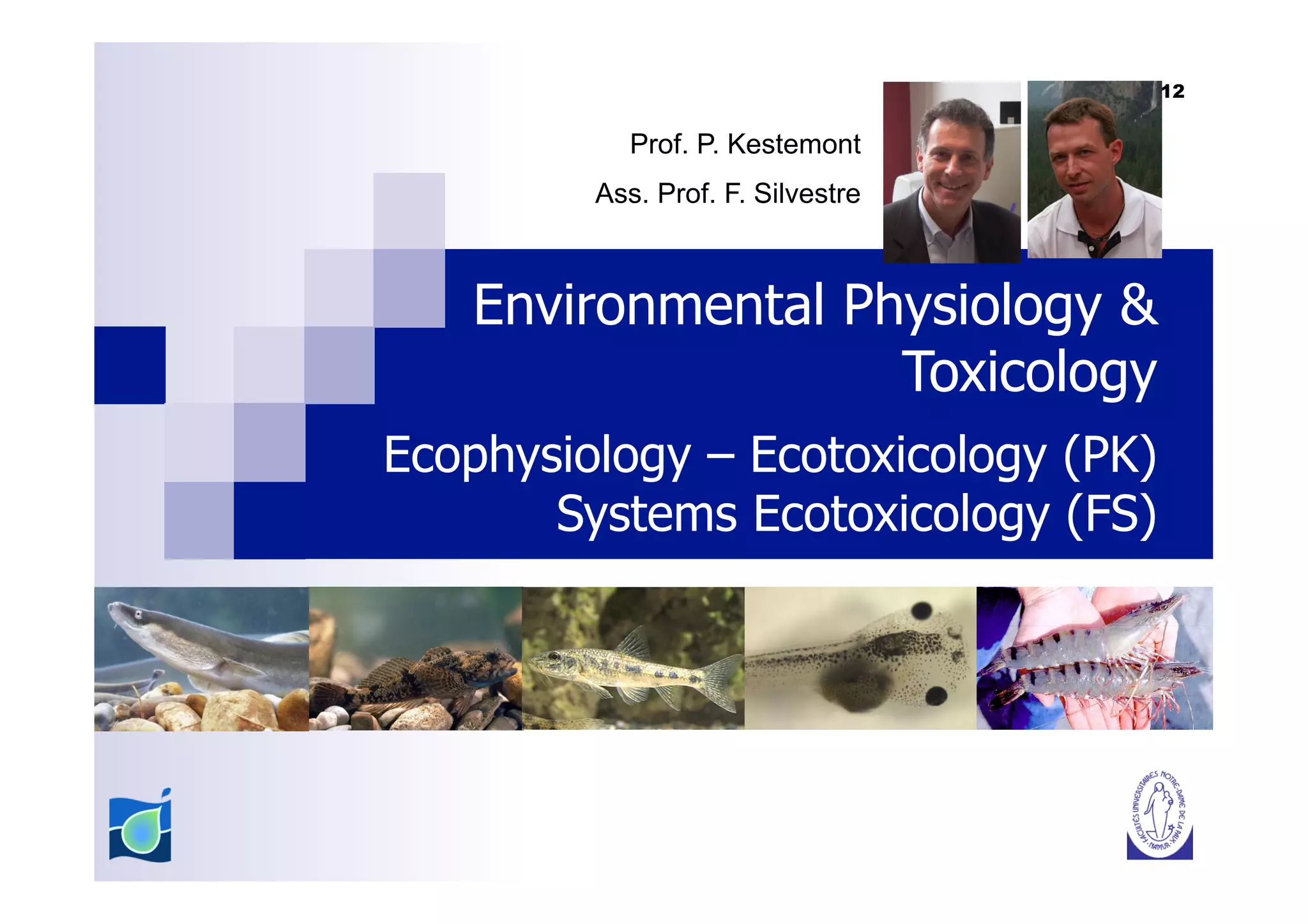 12

           Prof. P. Kestemont
         Ass. Prof. F. Silvestre



   Environmental Physiology &
                   Toxicology
Ecophysiology – Ecotoxicology (PK)
       Systems Ecotoxicology (FS)
 