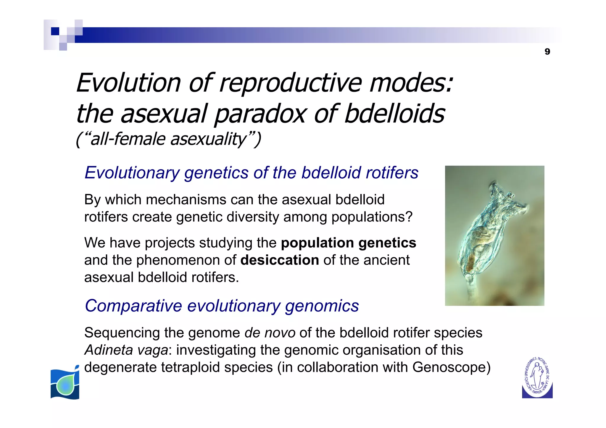 9



Evolution of reproductive modes:
the asexual paradox of bdelloids
( all-female asexuality )
 Evolutionary genetics of the bdelloid rotifers
 By which mechanisms can the asexual bdelloid
 rotifers create genetic diversity among populations?
 We have projects studying the population genetics
 and the phenomenon of desiccation of the ancient
 asexual bdelloid rotifers.

 Comparative evolutionary genomics
 Sequencing the genome de novo of the bdelloid rotifer species
 Adineta vaga: investigating the genomic organisation of this
 degenerate tetraploid species (in collaboration with Genoscope)
 