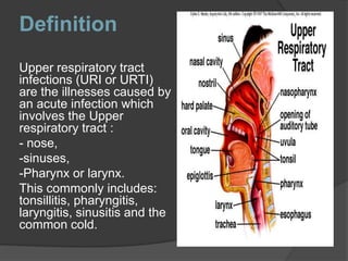 Definition
Upper respiratory tract
infections (URI or URTI)
are the illnesses caused by
an acute infection which
involves the Upper
respiratory tract :
- nose,
-sinuses,
-Pharynx or larynx.
This commonly includes:
tonsillitis, pharyngitis,
laryngitis, sinusitis and the
common cold.
 