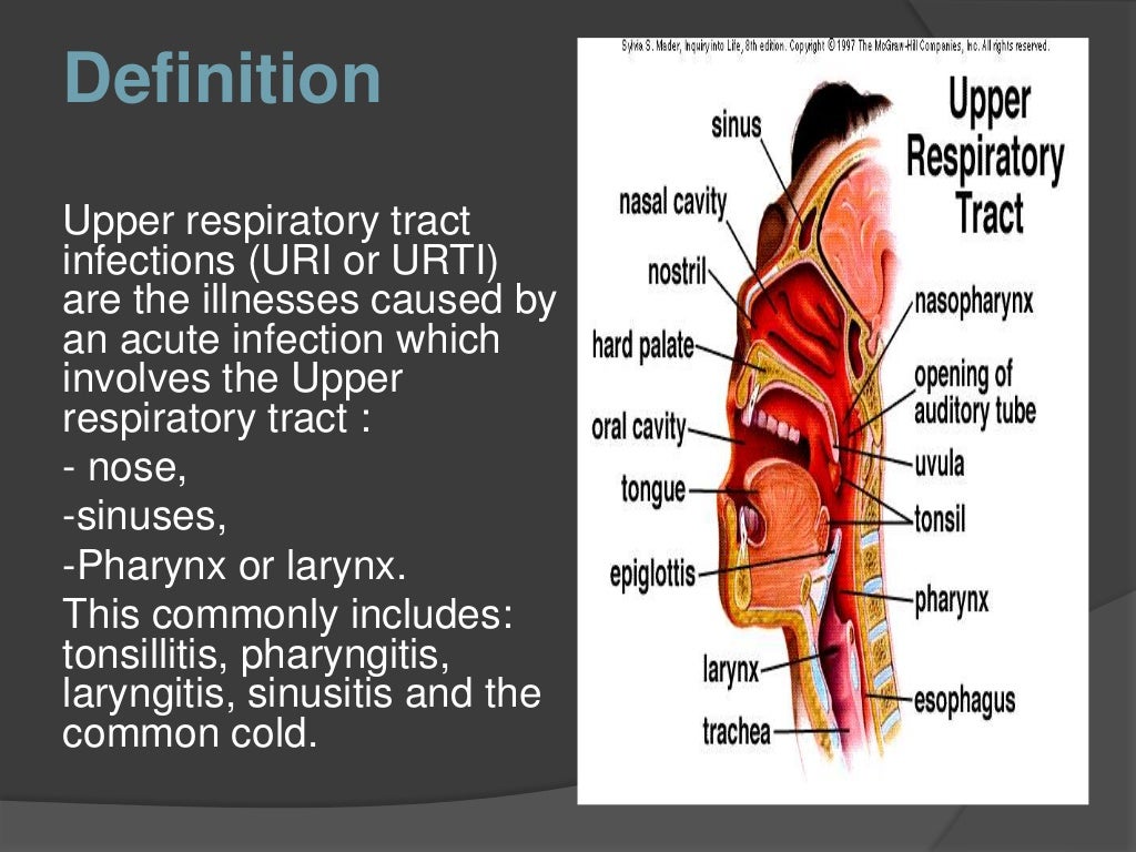 essay on upper respiratory tract infection