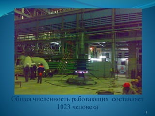 6
Общая численность работающих составляет
1023 человека
 