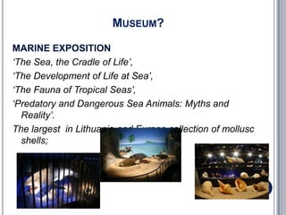 MUSEUM?

MARINE EXPOSITION
‘The Sea, the Cradle of Life’,
‘The Development of Life at Sea’,
‘The Fauna of Tropical Seas’,
‘Predatory and Dangerous Sea Animals: Myths and
  Reality’.
The largest in Lithuania and Europe collection of mollusc
  shells;
 