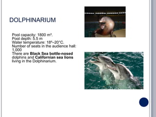 DOLPHINARIUM

Pool capacity: 1800 m³.
Pool depth: 5.5 m
Water temperature: 18º–20°C.
Number of seats in the audience hall:
1,000
There are Black Sea bottle-nosed
dolphins and Californian sea lions
living in the Dolphinarium.
 