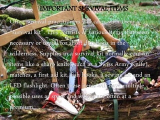 IMPORTANT SURVIVAL ITEMS
 