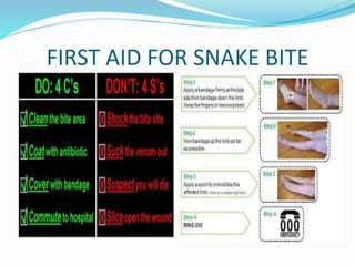 FIRST AID FOR SNAKE BITE
 
