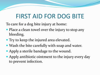 FIRST AID FOR DOG BITE
To care for a dog bite injury at home:
 Place a clean towel over the injury to stop any
bleeding.
 Try to keep the injured area elevated.
 Wash the bite carefully with soap and water.
 Apply a sterile bandage to the wound.
 Apply antibiotic ointment to the injury every day
to prevent infection.
 