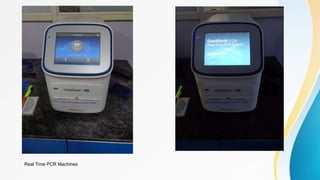 Real Time PCR Machines
 