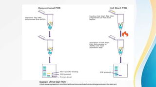 Diagram of Hot Start PCR
(https://www.sigmaaldrich.com/IN/en/technical-documents/technical-article/genomics/pcr/hot-start-pcr)
 