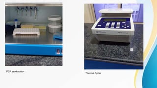 Introduction to PCR.pptx