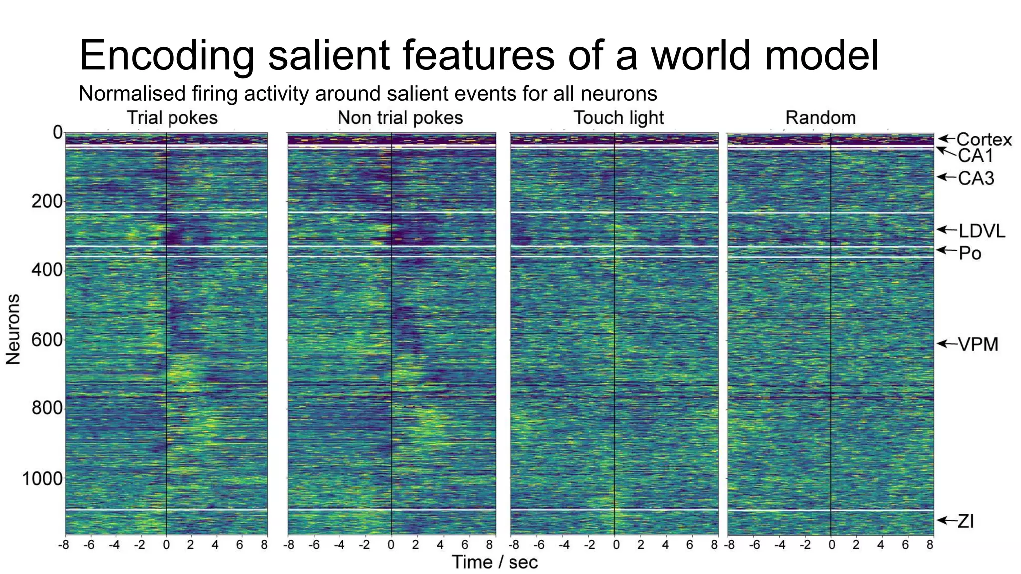Encoding salient features of a world model
Normalised firing activity around salient events for all neurons
 