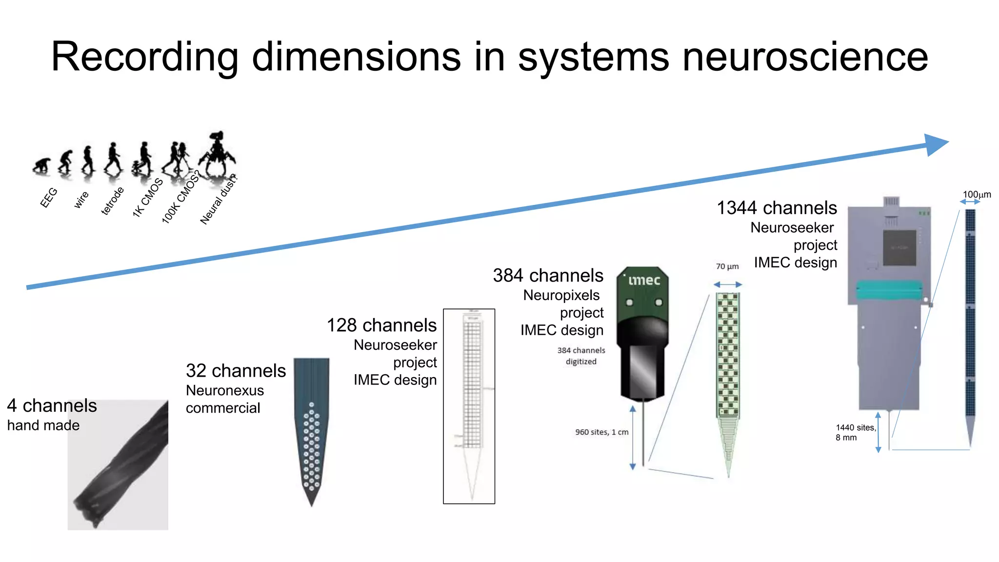 Recording dimensions in systems neuroscience
32 channels
Neuronexus
commercial
128 channels
Neuroseeker
project
IMEC design
384 channels
Neuropixels
project
IMEC design
4 channels
hand made
1344 channels
Neuroseeker
project
IMEC design
1440 sites,
8 mm
100mm
 