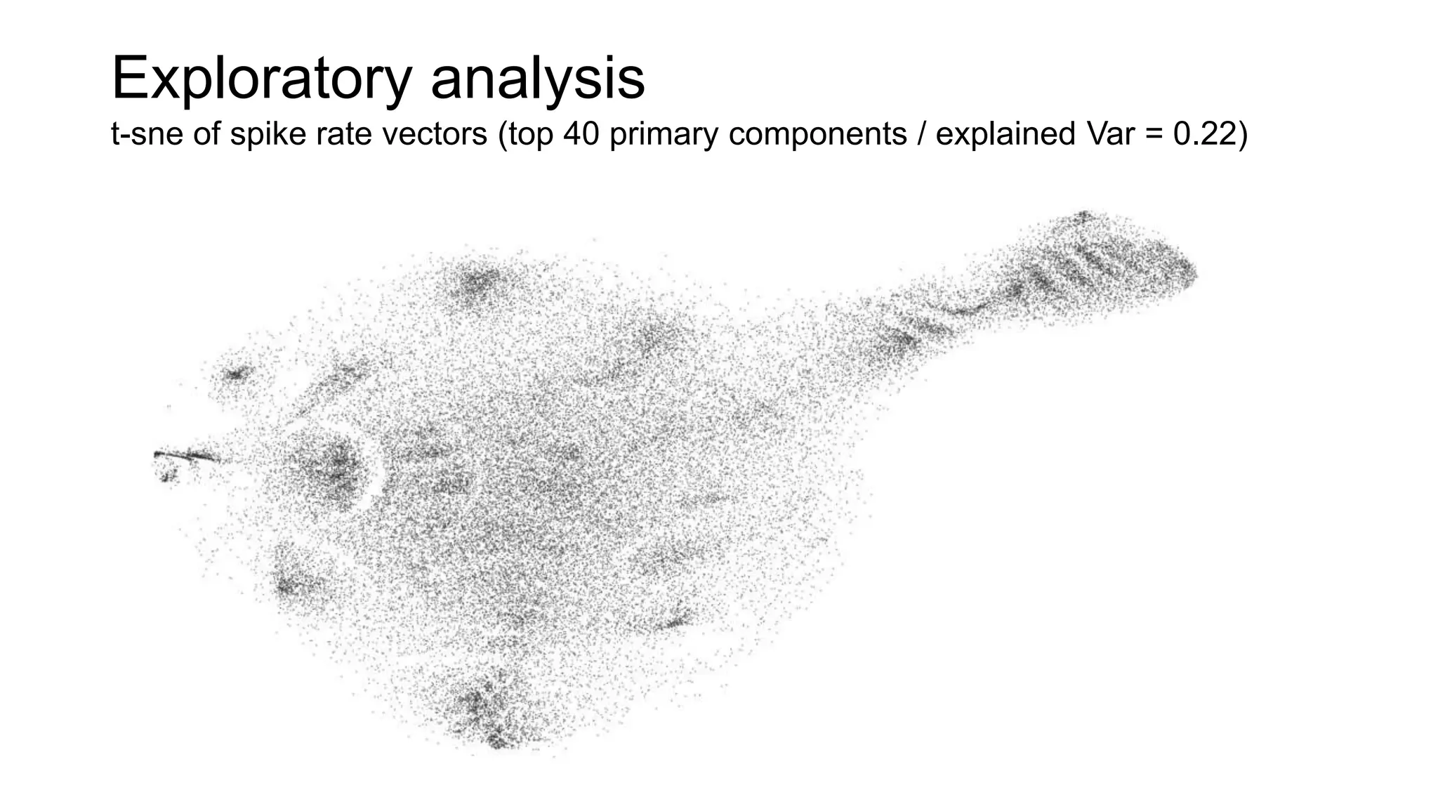Exploratory analysis
t-sne of spike rate vectors (top 40 primary components / explained Var = 0.22)
 