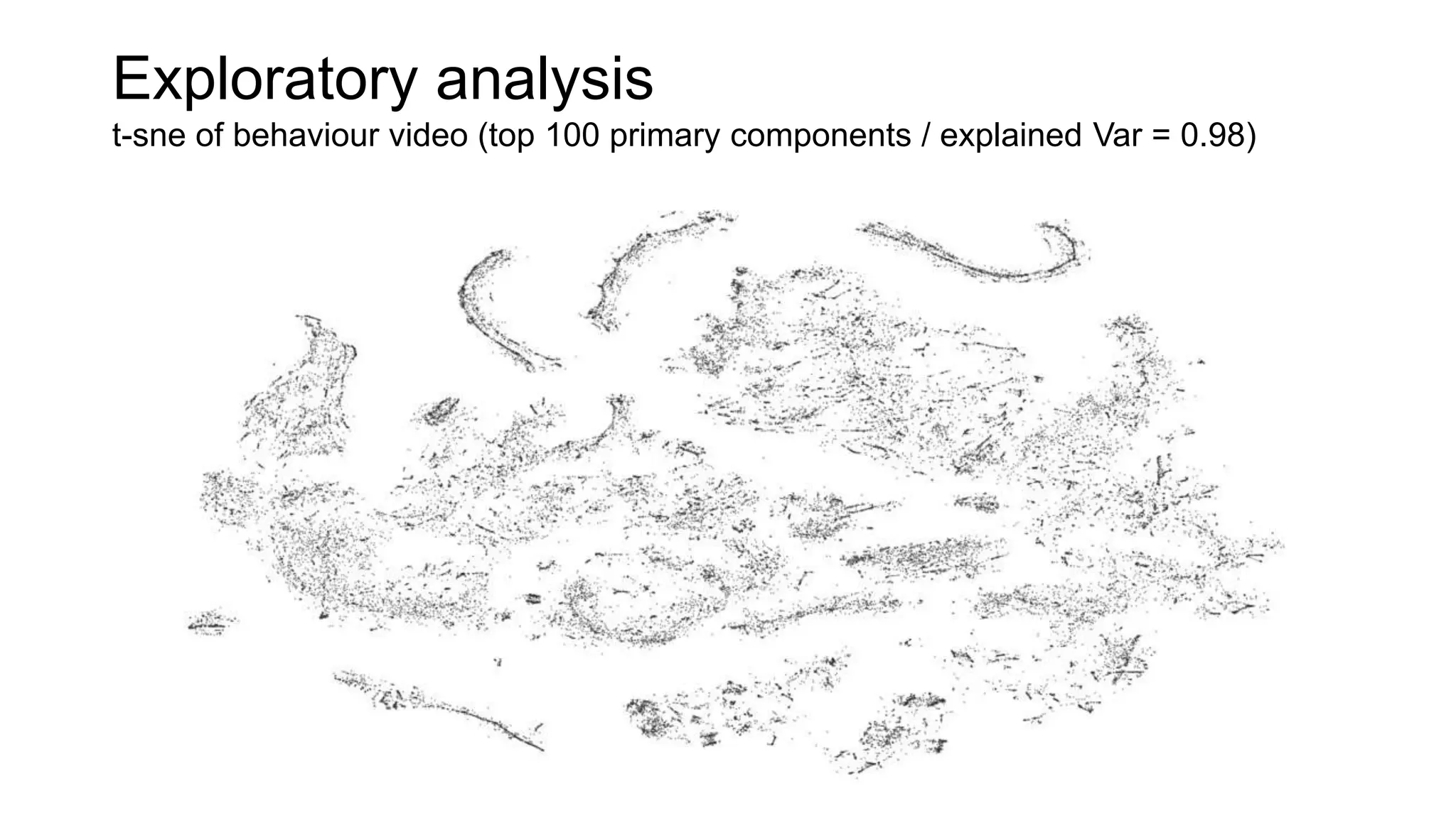 Exploratory analysis
t-sne of behaviour video (top 100 primary components / explained Var = 0.98)
 
