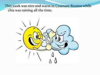 This week was nice and warm in Casanare Recetor while
chia was raining all the time.
 