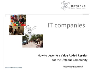 IT companies How to become a  Value Added Reseler for the Octopus Community © Octopus Microfinance 2009 Images by Bidulz.com 