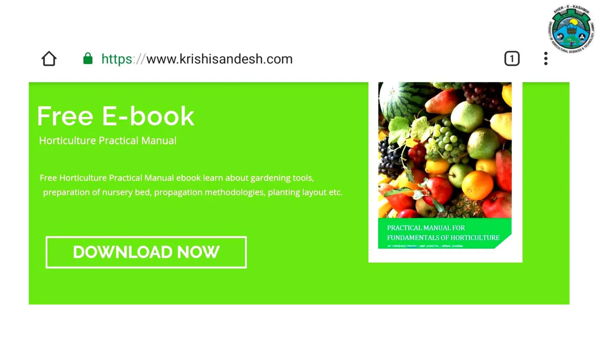 VEGETATIVE PROPAGATION FOR INCREASING FRUIT TREE PRODUCTIVITY