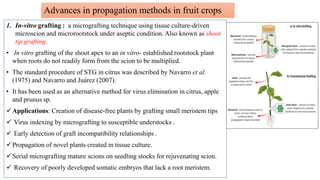 Advances in propagation methods in fruit crops
1. In-vitro grafting : a micrografting technique using tissue culture-driven
microscion and microrootstock under aseptic condition. Also known as shoot
tip grafting.
• In vitro grafting of the shoot apex to an in vitro- established rootstock plant
when roots do not readily form from the scion to be multiplied.
• The standard procedure of STG in citrus was described by Navarro et al.
(1975) and Navarro and Juárez (2007).
• It has been used as an alternative method for virus elimination in citrus, apple
and prunus sp.
Applications: Creation of disease-free plants by grafting small meristem tips
 Virus indexing by micrografting to susceptible understocks .
 Early detection of graft incompatibility relationships .
Propagation of novel plants created in tissue culture.
Serial micrografting mature scions on seedling stocks for rejuvenating scion.
 Recovery of poorly developed somatic embryos that lack a root meristem.
 