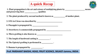 6. Micro grafting is also Known as _________________________
3. STG in Citrus was described by _________________________
4. Pineapple is propagated by _________________________
5. Strawberry is commercially propagated by ________________________
1. Plant propagation is the art and science of multiplying plants by ___________________ means
and preserving their _____________ qualities
2. The plant produced by asexual method is known as ___________ of mother plant.
7. The length of hardwood cutting is ___________ .
8. The Epicotyl grafting is performed in ___________ .
9. Banana is propagated by ___________ .
A quick Recap
Prof. PARSHANT BAKSHI, HEAD, FRUIT SCIENCE, SKUAST-Jammu, INDIA
 