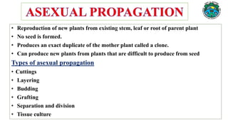 • Reproduction of new plants from existing stem, leaf or root of parent plant
• No seed is formed.
• Produces an exact duplicate of the mother plant called a clone.
• Can produce new plants from plants that are difficult to produce from seed
Types of asexual propagation
• Cuttings
• Layering
• Budding
• Grafting
• Separation and division
• Tissue culture
 