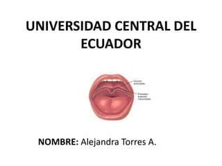 UNIVERSIDAD CENTRAL DEL
ECUADOR
NOMBRE: Alejandra Torres A.
 