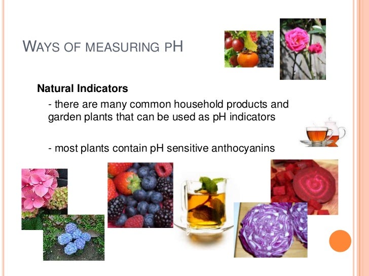 How Can Litmus Paper Be Used At Its Natural Color How Can Litmus Paper Be Used At Its Natural Color