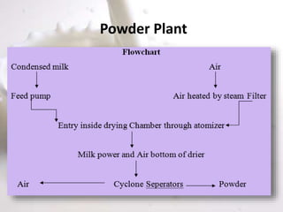 Powder Plant
 