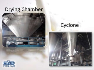 Drying Chamber
Cyclone
 