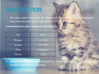  This dairy plant follows the ISI standard of dahi. Mostly it is manufactured
every two alternate days in flush seasons.
Compositional & other Standards maintained :-
 Equipments used are- Steam Jacketed Vat, Weighing Balance, Cans, Incubation
Chamber, Dahi Packaging Machine.
Fat 4-5%
Protein 3.2 -3.4%
Acidity 0.8-1.0%
Taste Cream-sour
Flavor Acid
 