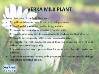 Some objectives of the Milk Plant are:-
• To uplift social and economic status of milk producers.
• To develop dairy as industry allied to agriculture.
• To provide better and remunerative prices for milk.
• To provide veterinary aids to animals of milk producers at their doorstep.
• To provide better quality cattle feed at reasonable rates.
• To educate the milk producers about lowering down the cost of milk
without compromising quality.
• To create employment opportunities for rural youth by milk production
activities.
• To provide awareness among milk producers for socio-economic change
through co-operative set-up.
 