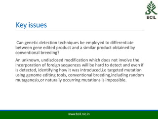Modification Detected Biosafety Assessment and Regulations of Gene Editing | PPTX