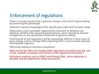 Biosafety Assessment and Regulations of Gene Editing | PPTX