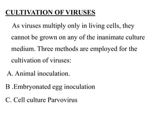 CULTIVATION OF VIRUSES
As viruses multiply only in living cells, they
cannot be grown on any of the inanimate culture
medium. Three methods are employed for the
cultivation of viruses:
A. Animal inoculation.
B .Embryonated egg inoculation
C. Cell culture Parvovirus
 