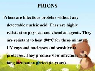 PRIONS
Prions are infectious proteins without any
detectable nucleic acid. They are highly
resistant to physical and chemical agents. They
are resistant to heat (90°C for three minutes),
UV rays and nucleases and sensitive to
proteases. They produce slow infections with
long incubation period (in years).
 