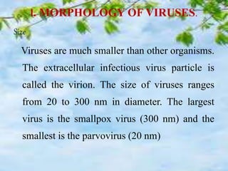 I. MORPHOLOGY OF VIRUSES.
Size
Viruses are much smaller than other organisms.
The extracellular infectious virus particle is
called the virion. The size of viruses ranges
from 20 to 300 nm in diameter. The largest
virus is the smallpox virus (300 nm) and the
smallest is the parvovirus (20 nm)
 