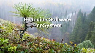 Beamline SoftwareBeamline Software
EcoSystemEcoSystem
 