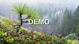 DEMODEMO
 