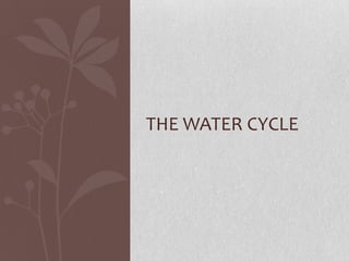 THE WATER CYCLE
 