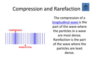 Wave Motion | PPTX