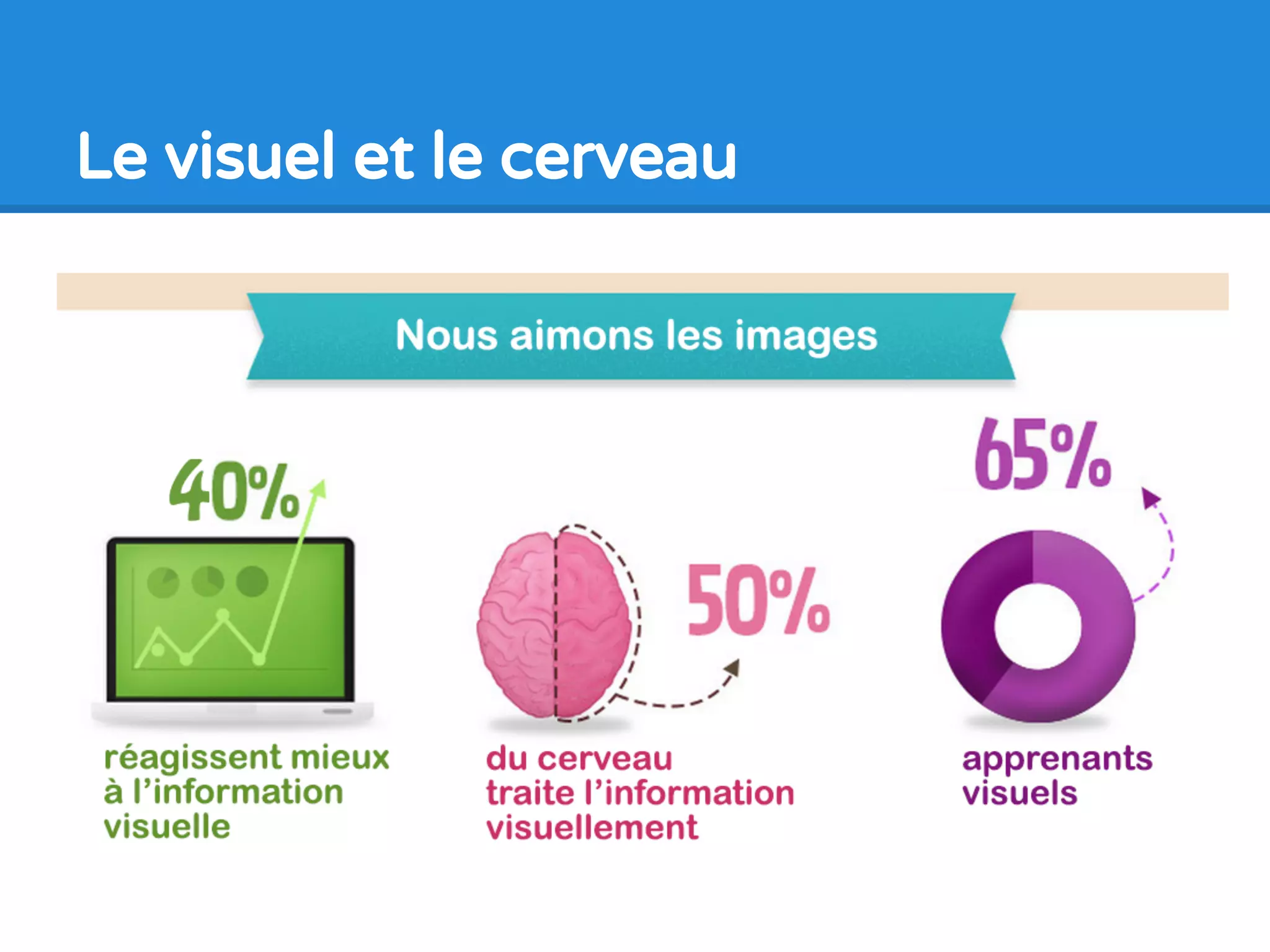 Le visuel et le cerveau
 