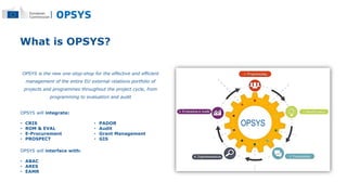 Presentation Webinar OPSYS_13112018.pptx