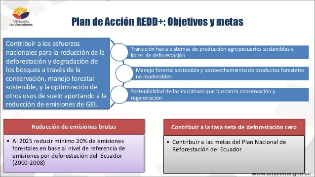 Bosques para el buen vivir: Plan de acción Redd+ del Ecuador 2016-202…