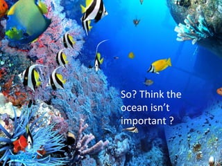 So? 
Think 
the 
ocean 
isn’t 
important 
? 
 
