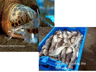 PlasAc 
is 
killing 
the 
ocean, 
PlasAc 
is 
poising 
the 
fish 
you 
eat 
 