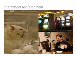 Intermittent reinforcement 
http://www.flickr.com/photos/jepoirrier/422469526/ 
http://www.flickr.com/photos/kristoferbjorkman/6910216819/ 
http://www.flickr.com/photos/foreignoffice/2671039488/ 
 