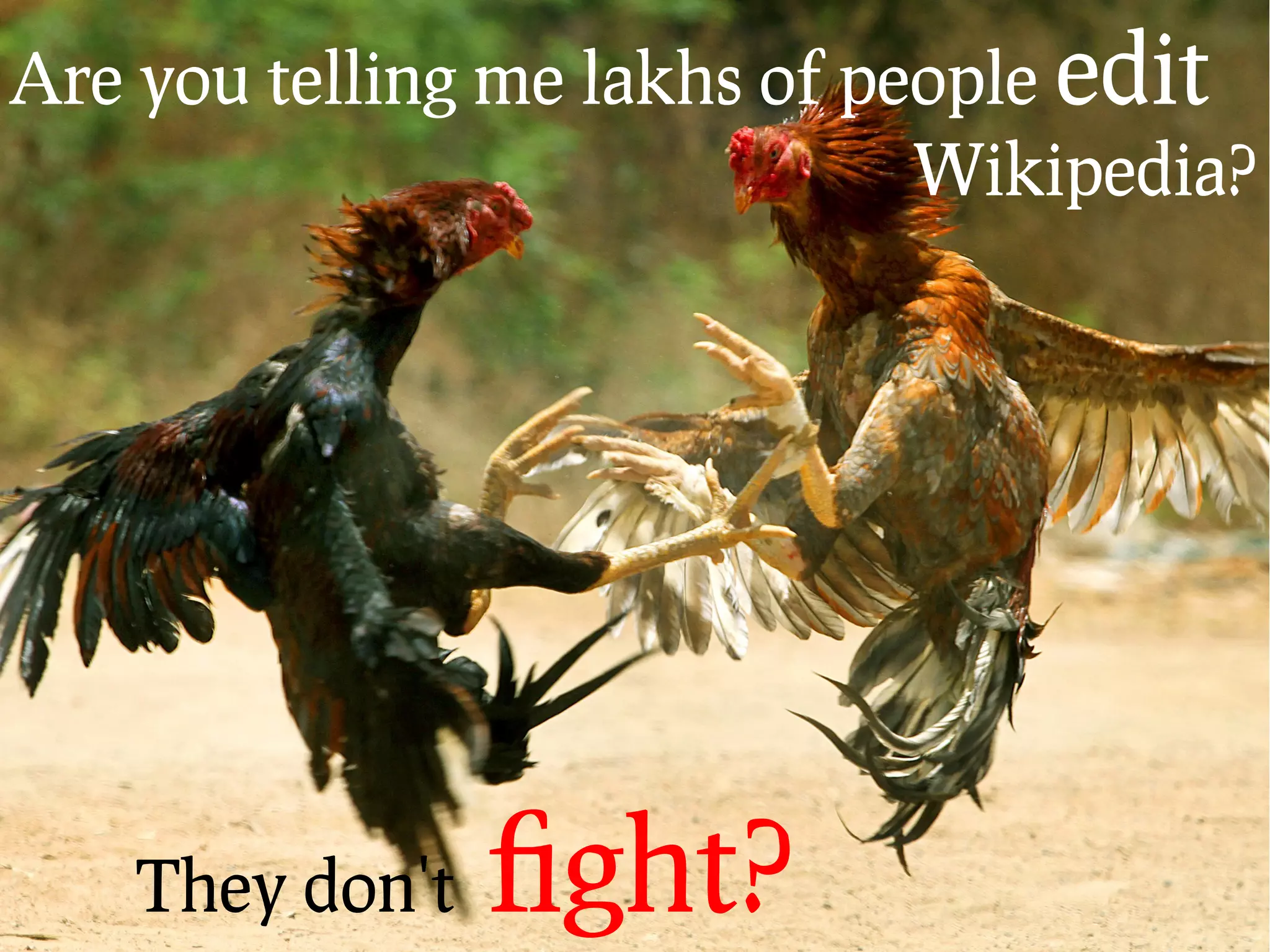 You can also   [edit] Wikipedia!
 