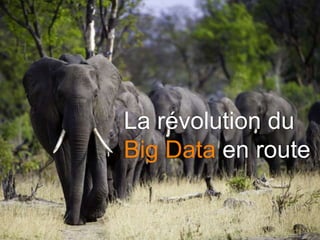 La révolution du
Big Data en route
 