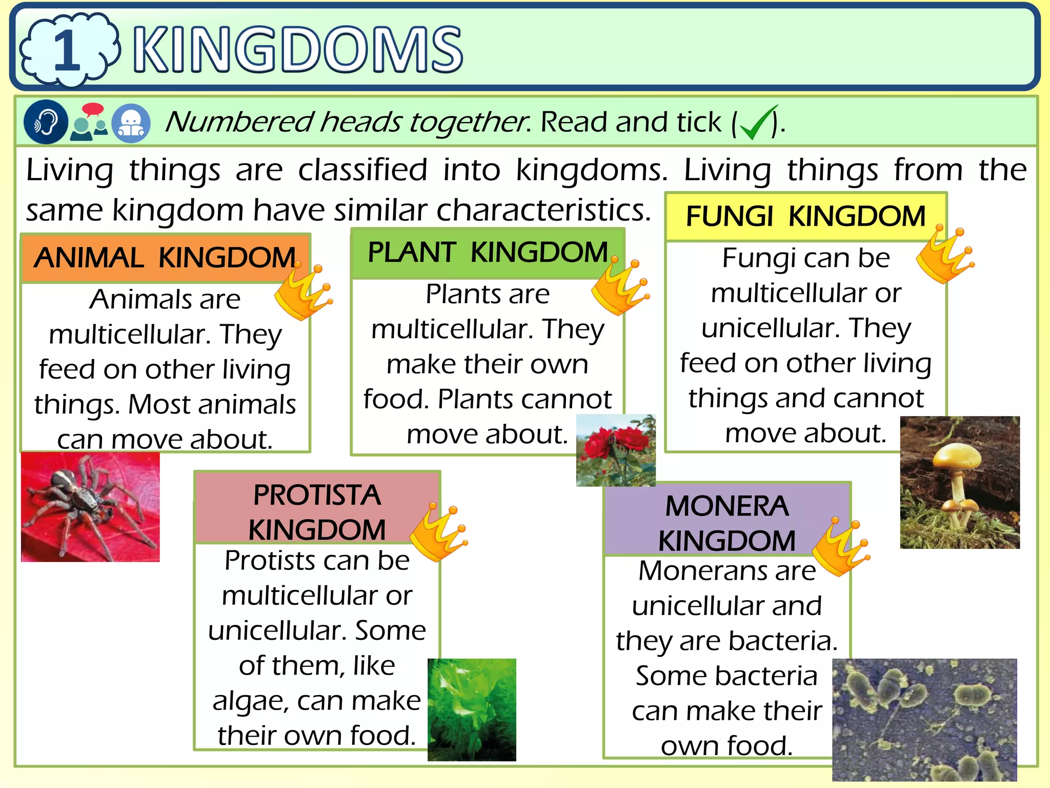 Presentation - The Classification of Living Things | PDF