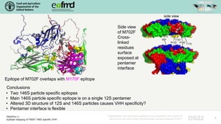 H. Li - Epitope mapping of FMDV 146S specific single-domain antibodies ...